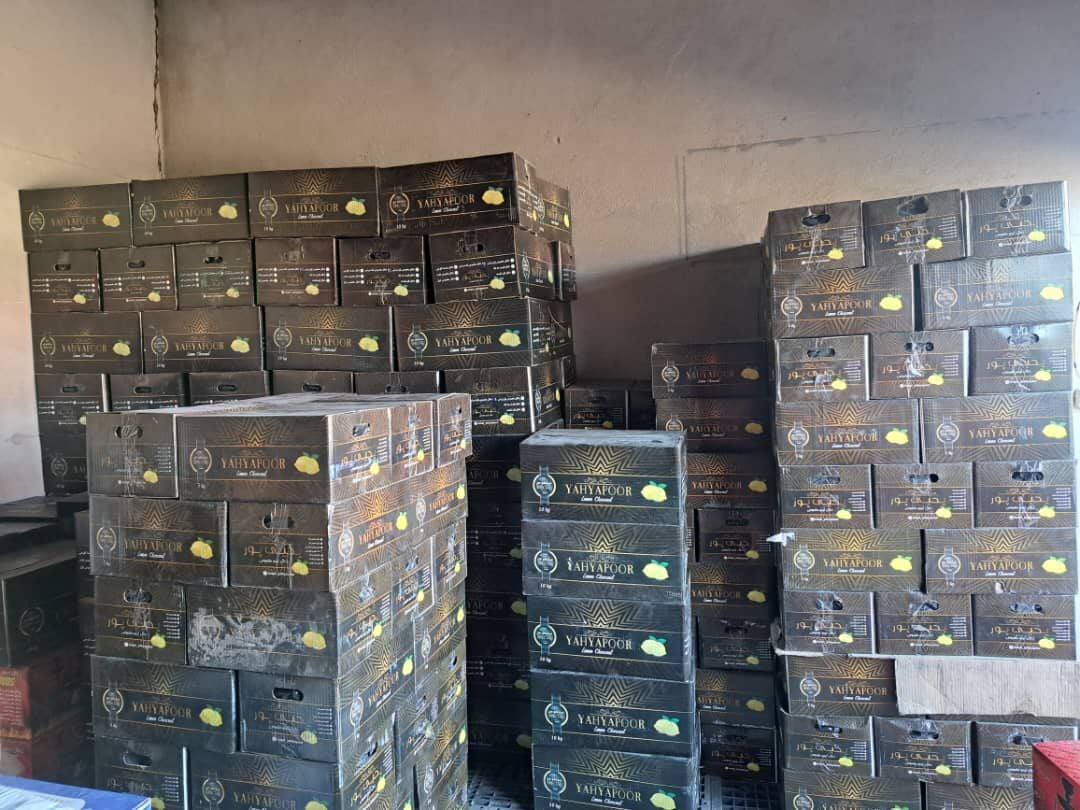 تولید و پخش ذغال عرفان پورغلامی در رشت